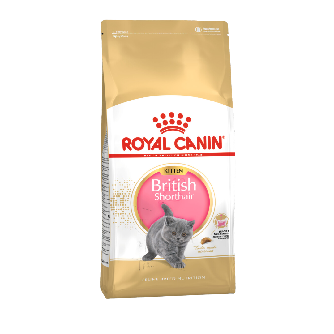 Royal Canin Kitten British Shorthair